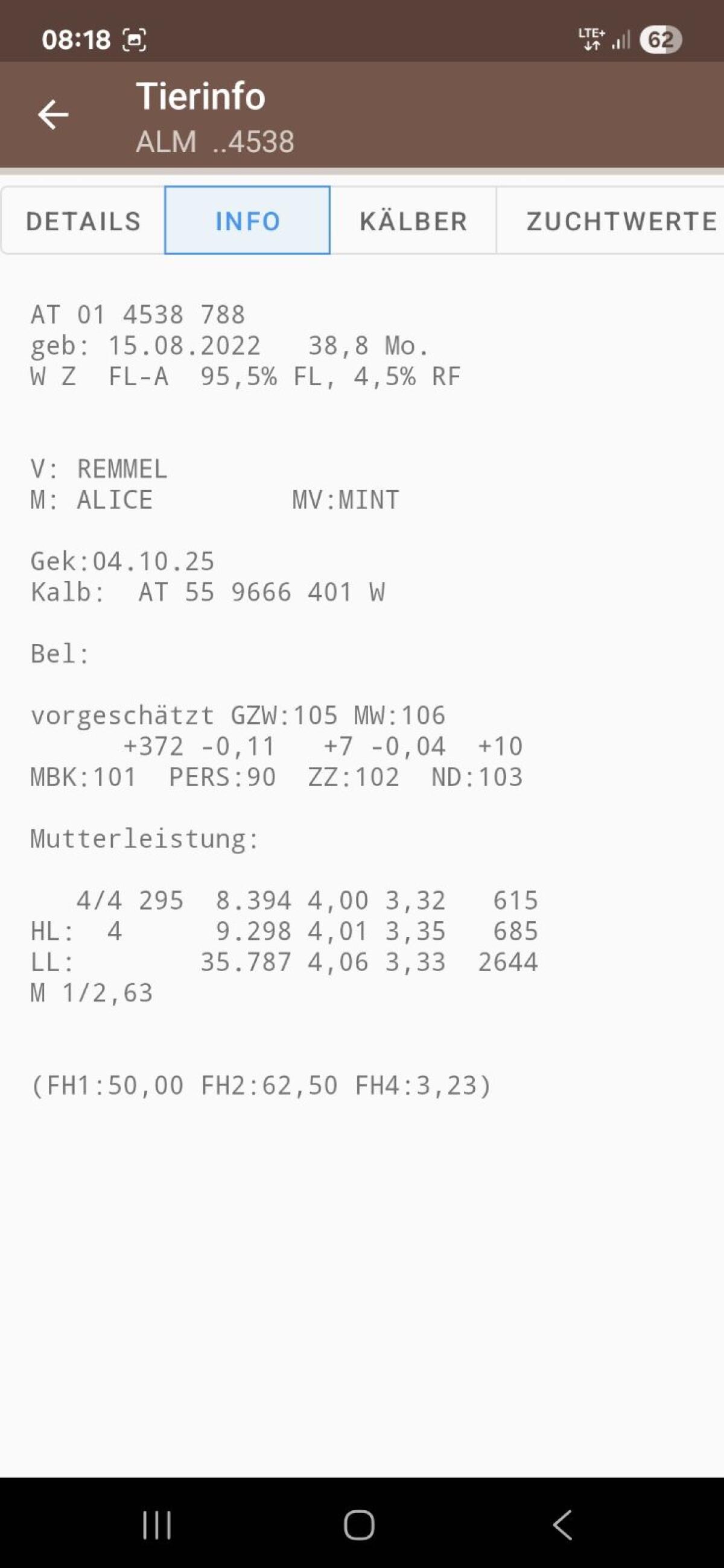 Bio Fleckvieh Zuchtkälber 3