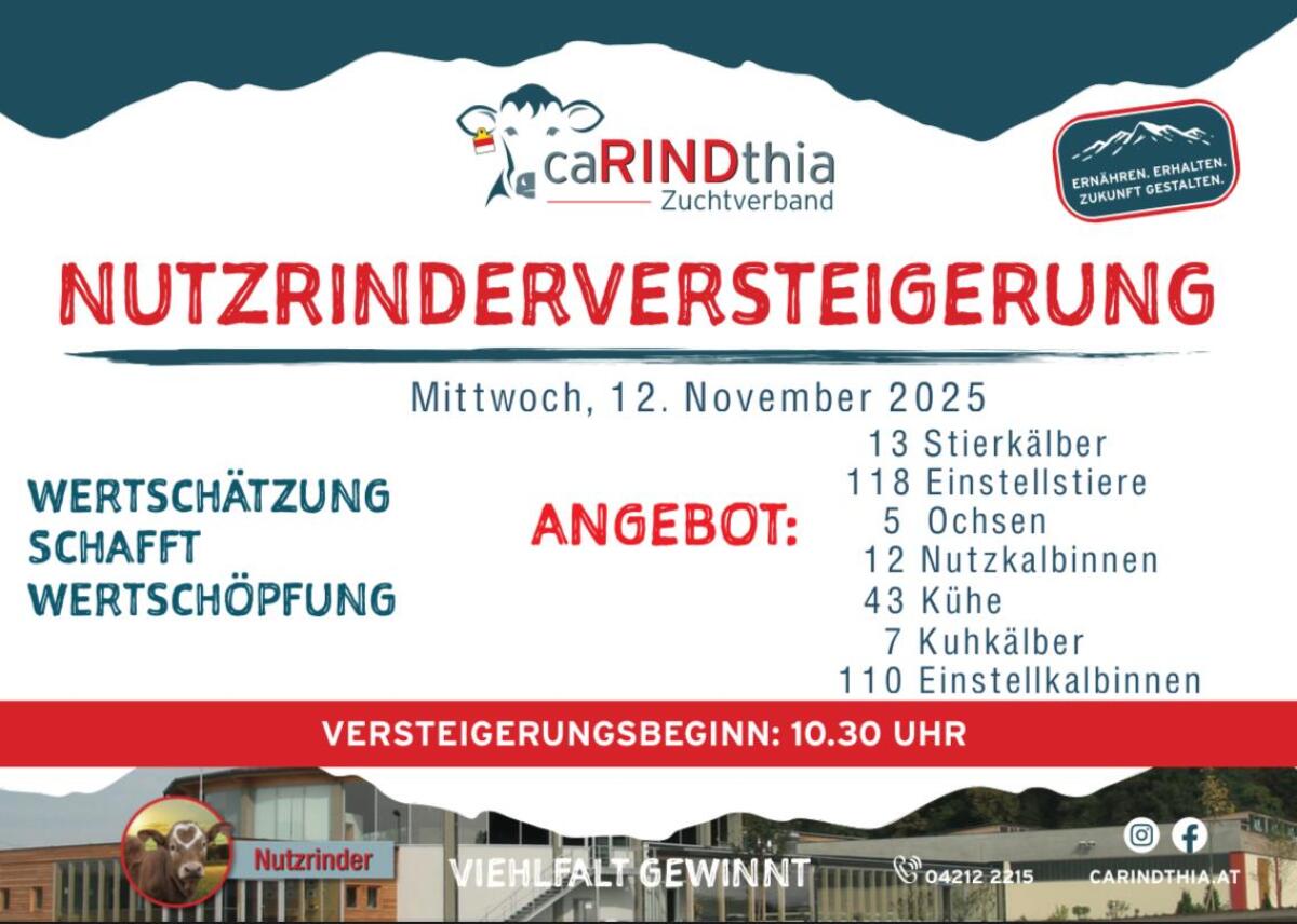 Einsteller Nutzrinder 2