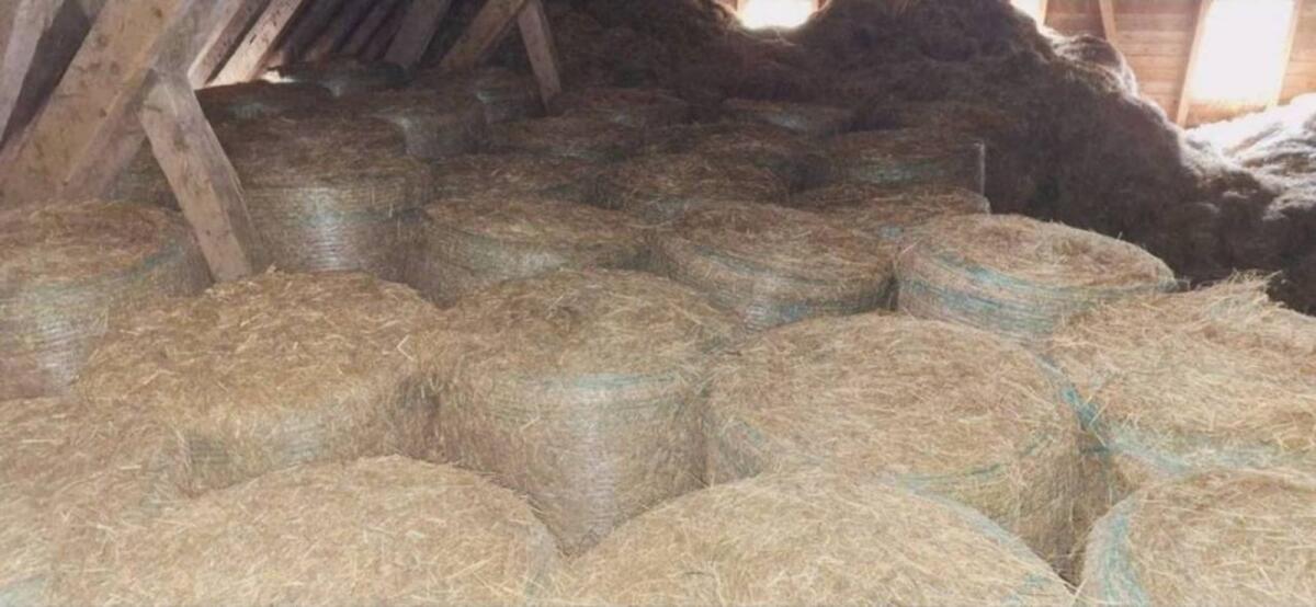 Heu Heuballen Rundballen Ernte 2024 3