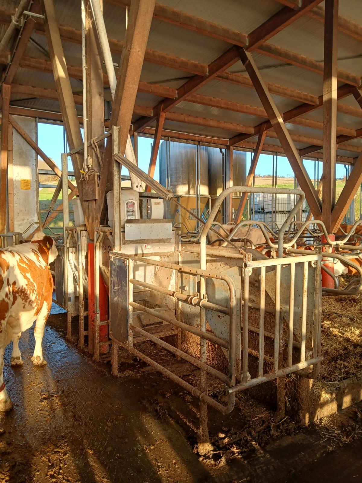 2 Kraftfutterstationen zu verkaufen 3