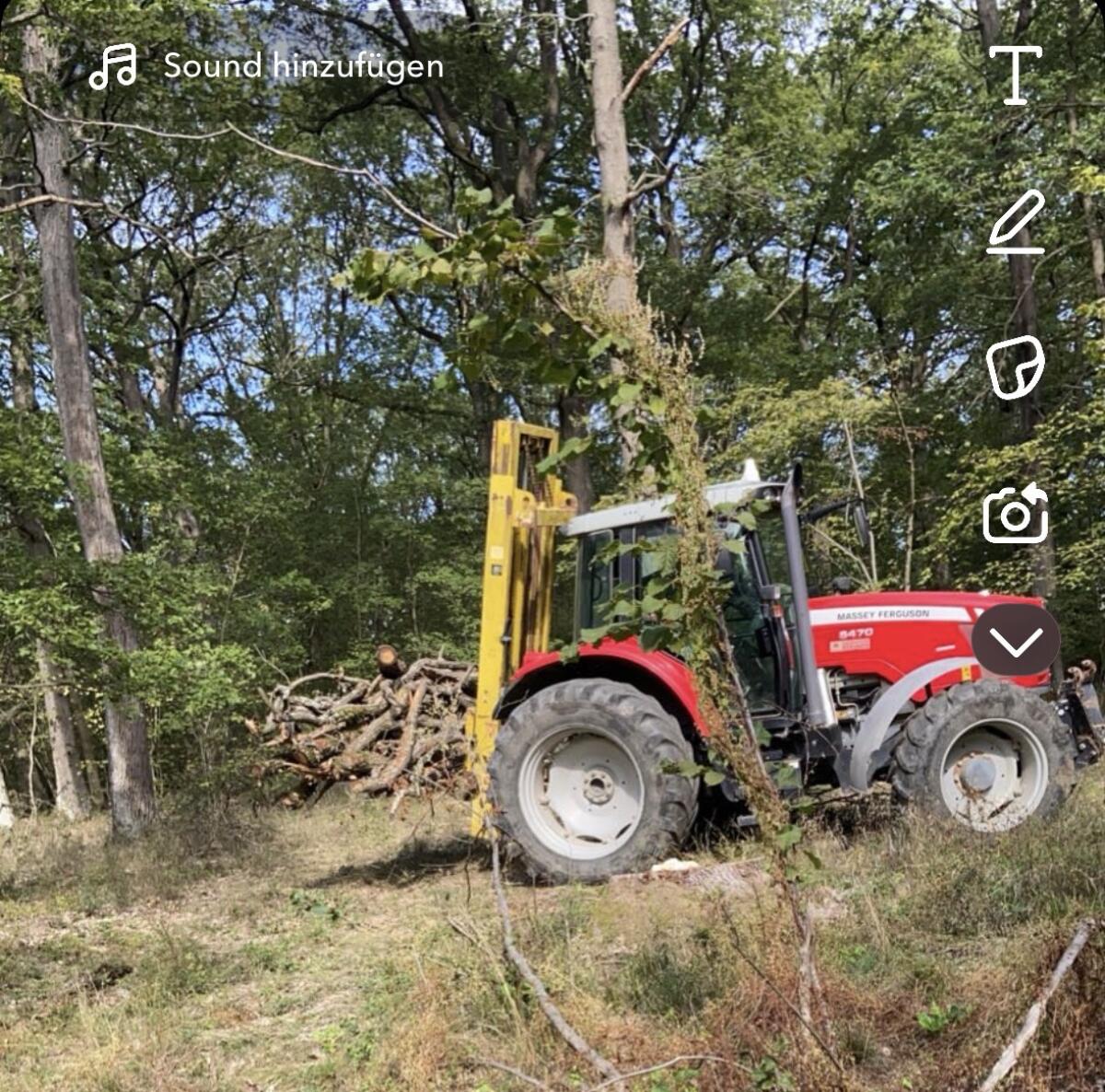 Staplermast für Traktor 1