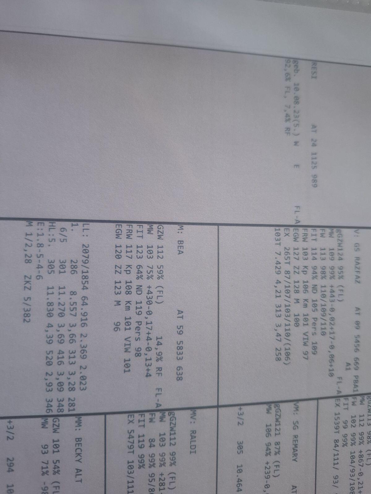 Fleckviehkalbin trächtig 2