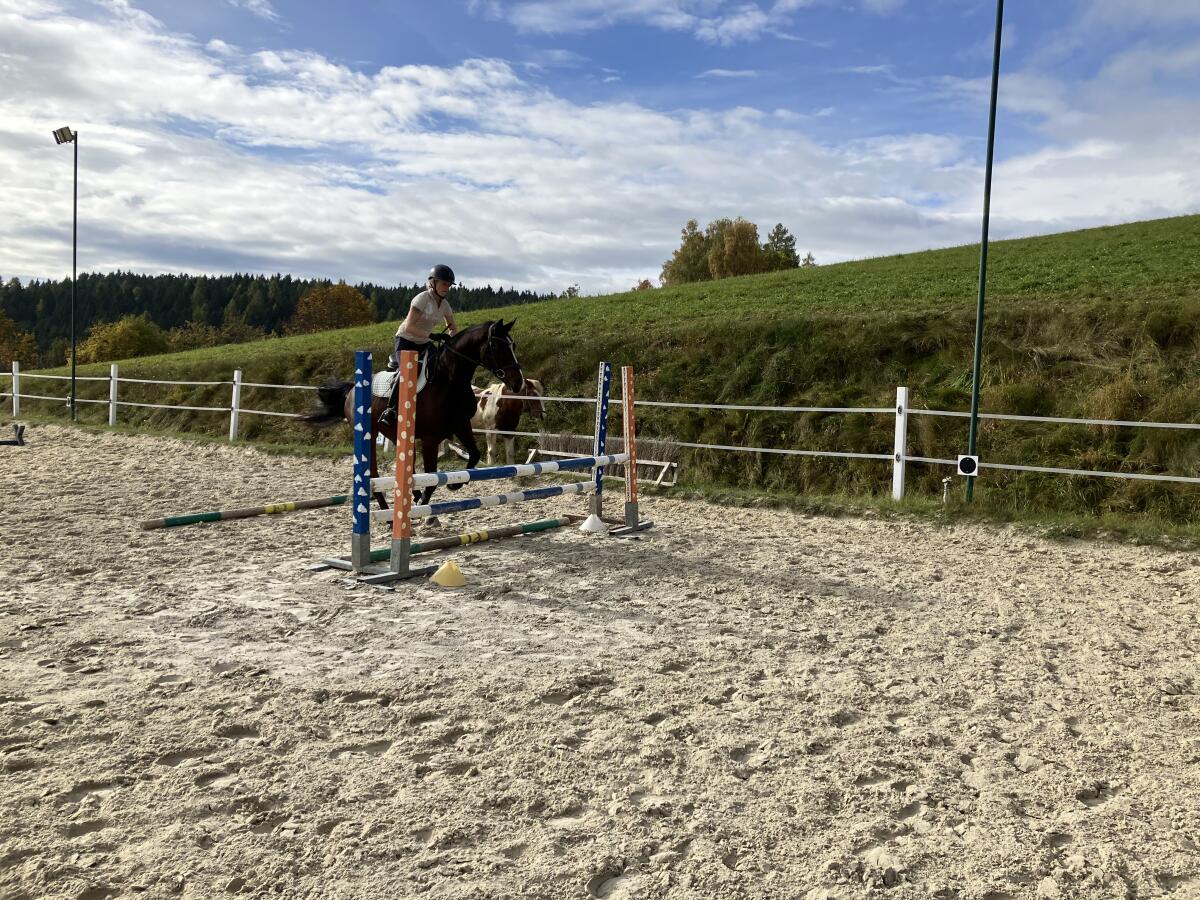 Einstellplatz und Wohnung 1