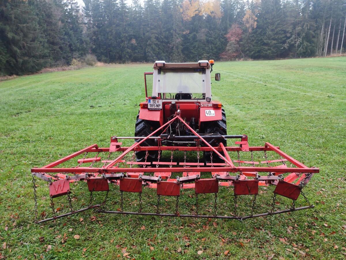 Wiesenegge Wölfleder 3