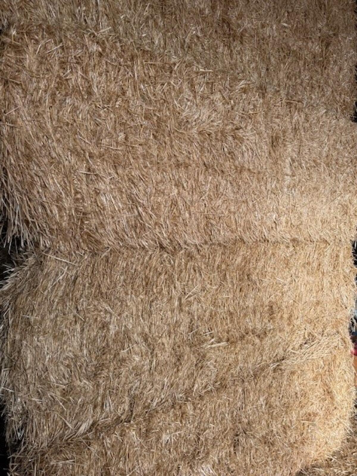 Stroh Quader, Ernte 2025 3