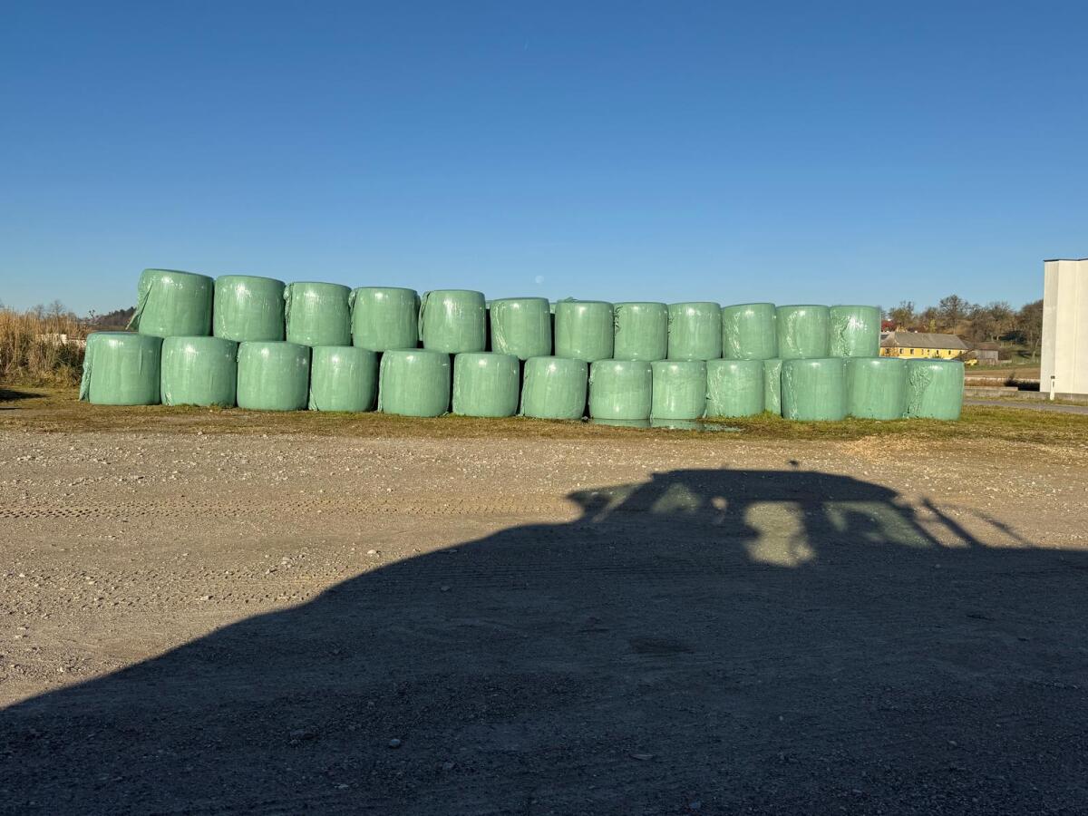 Verkaufe BIO Maisballen (Silomais) 1