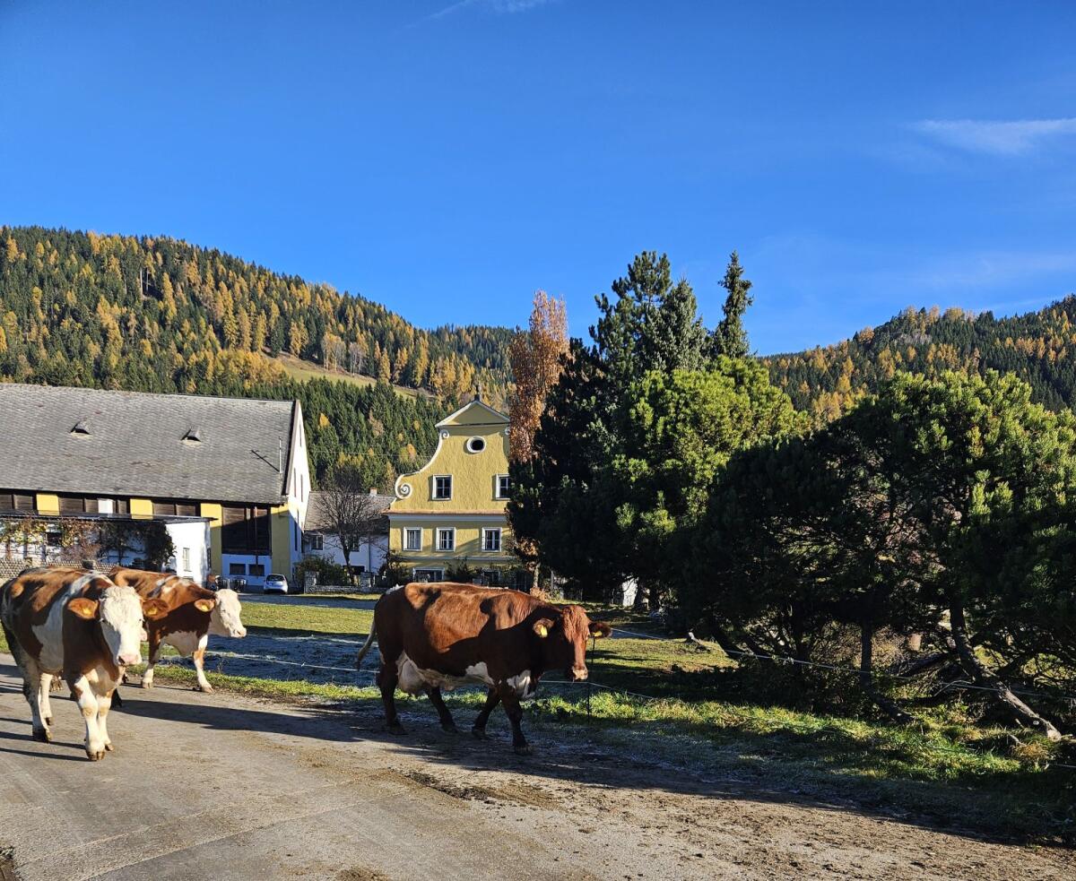 Praktikant/in gesucht für 2026 3