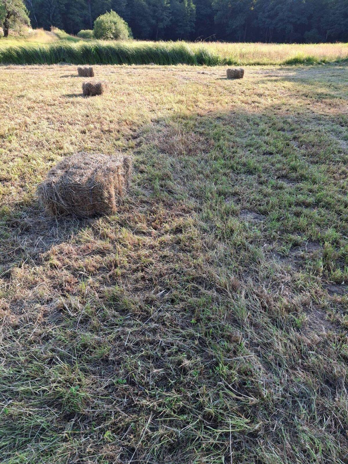 Bio Kleinballen Hochdruckballen 1