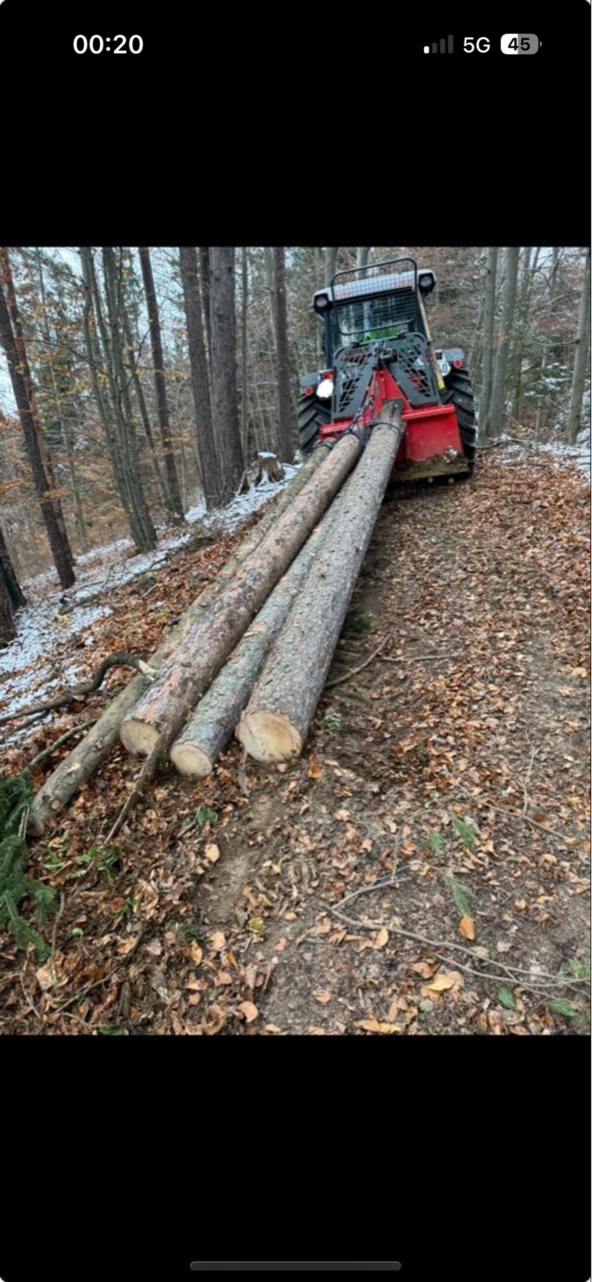 Forstarbeiten im Raum Graz Umgebung 1