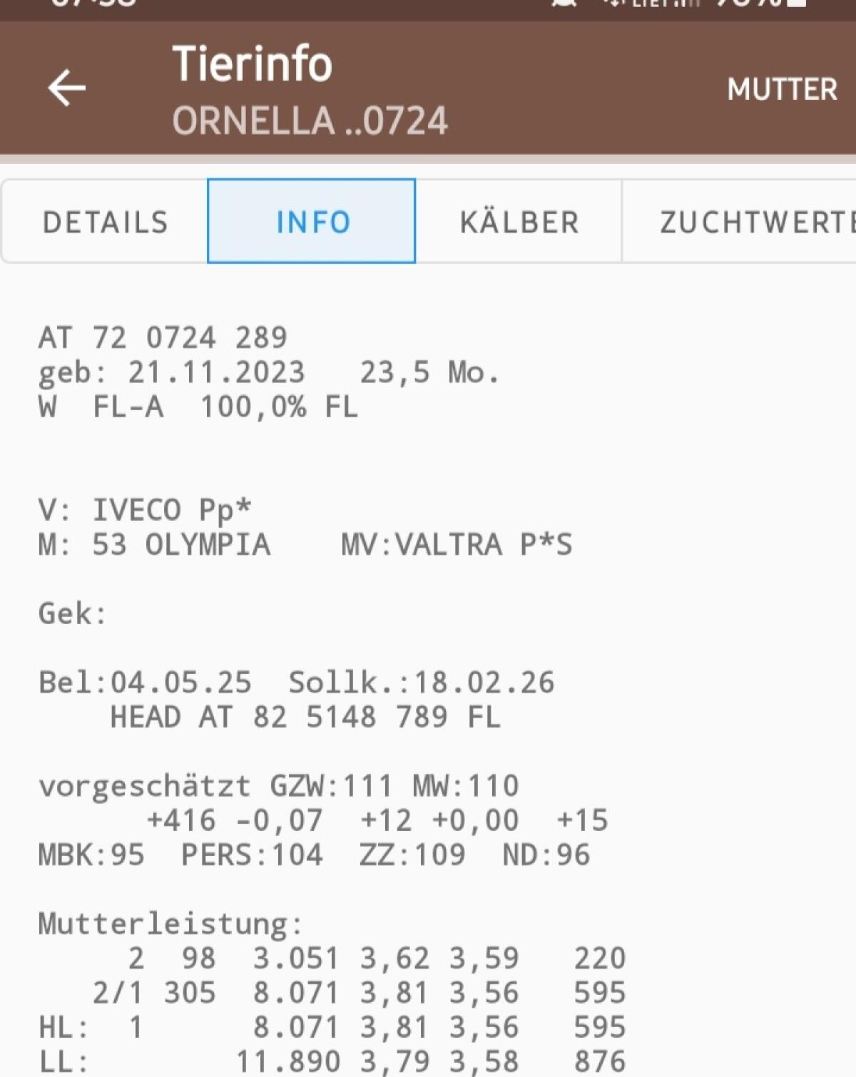 Fleckviehzuchtkalbin 2