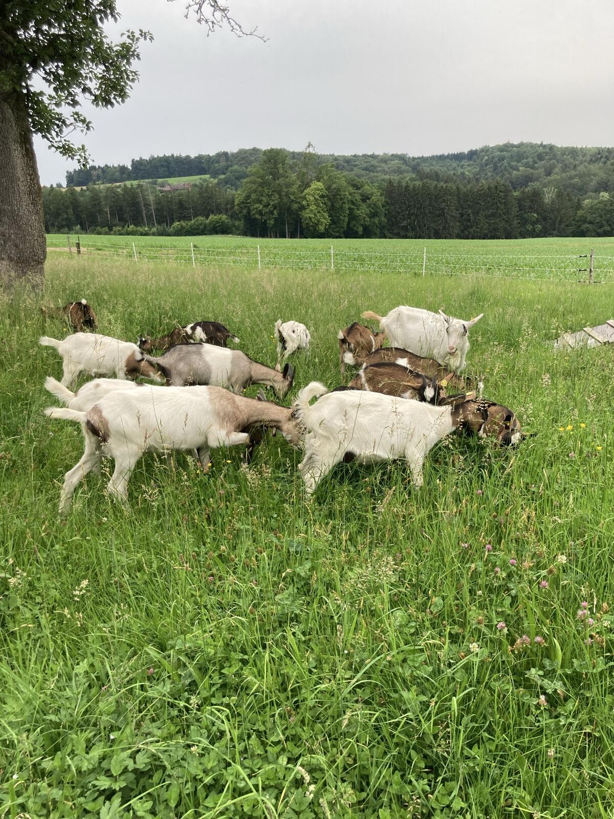 Praktikant*in gesucht 3