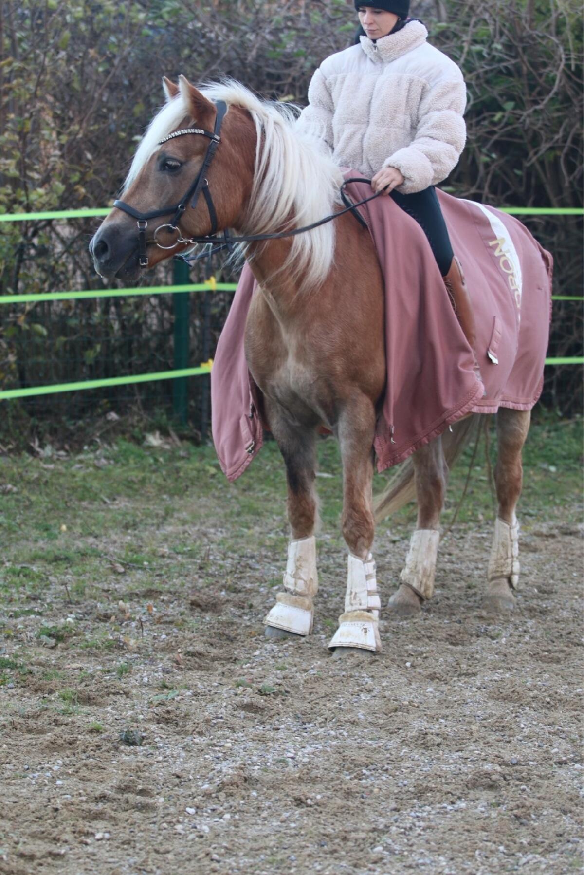 Brave liz. Notting Hill Tochter, tragend für 2026 2