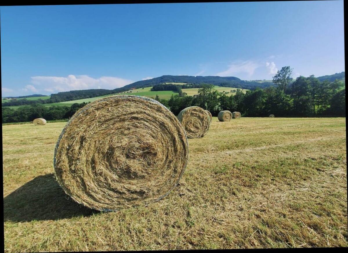 Heuballen 1