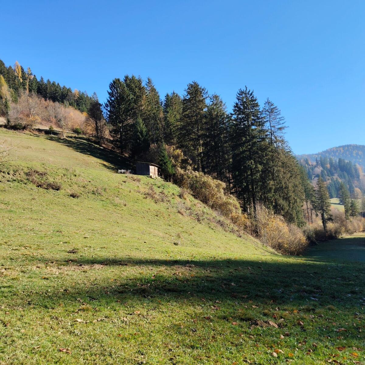 Einstellplätze in ganzjähriger, naturnaher Weidehaltung 2