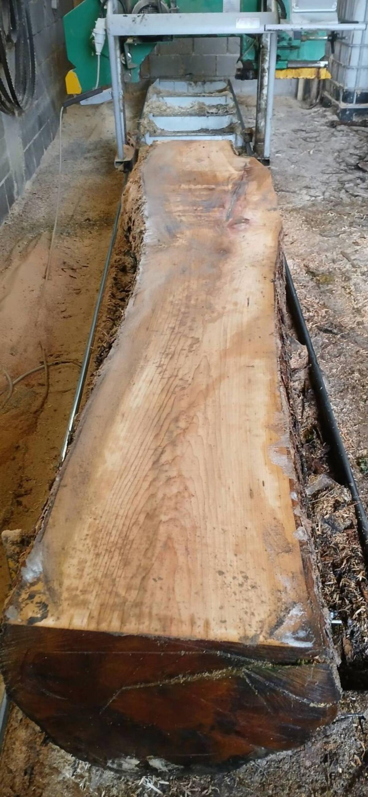 Haselnuss-Pfosten Schnittholz 2