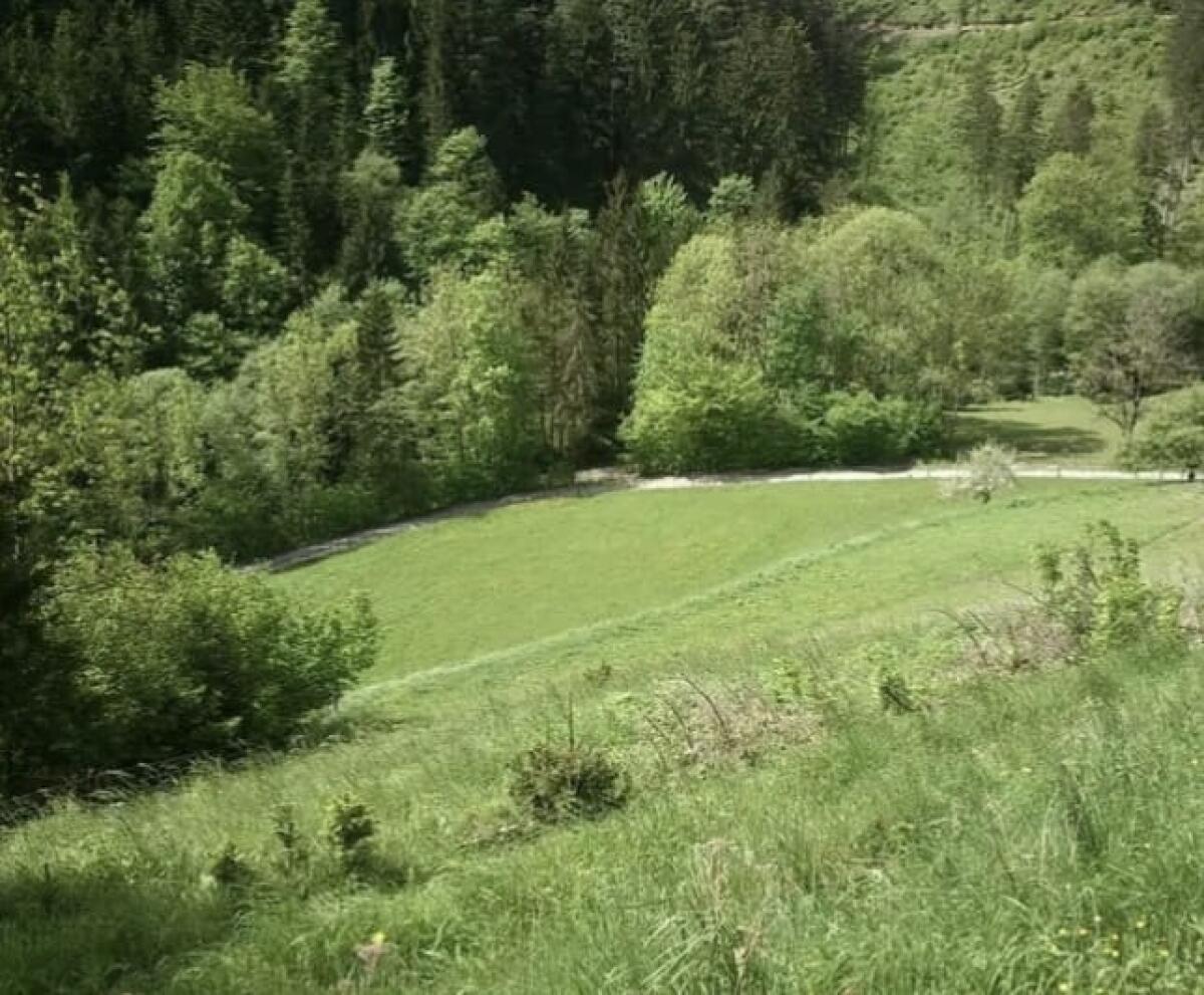 Einstellplätze in ganzjähriger, naturnaher Weidehaltung 1