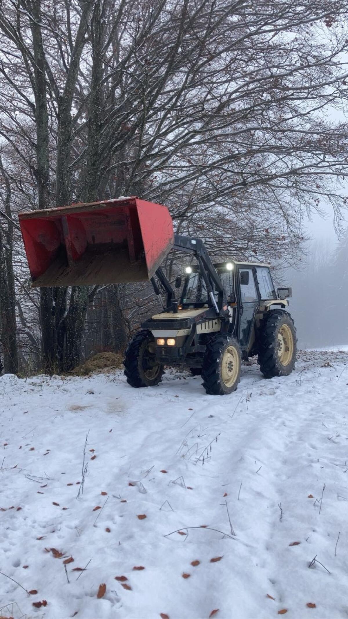 Lamborghini Same 674 70 NDT Traktor 3