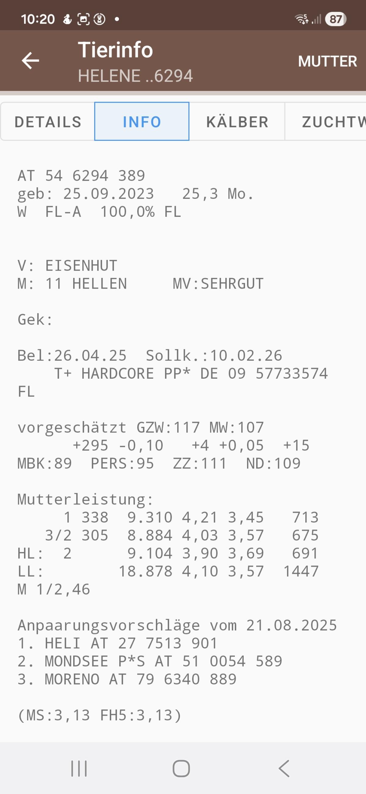Verkaufe trächtige Fleckviehkalbin 2