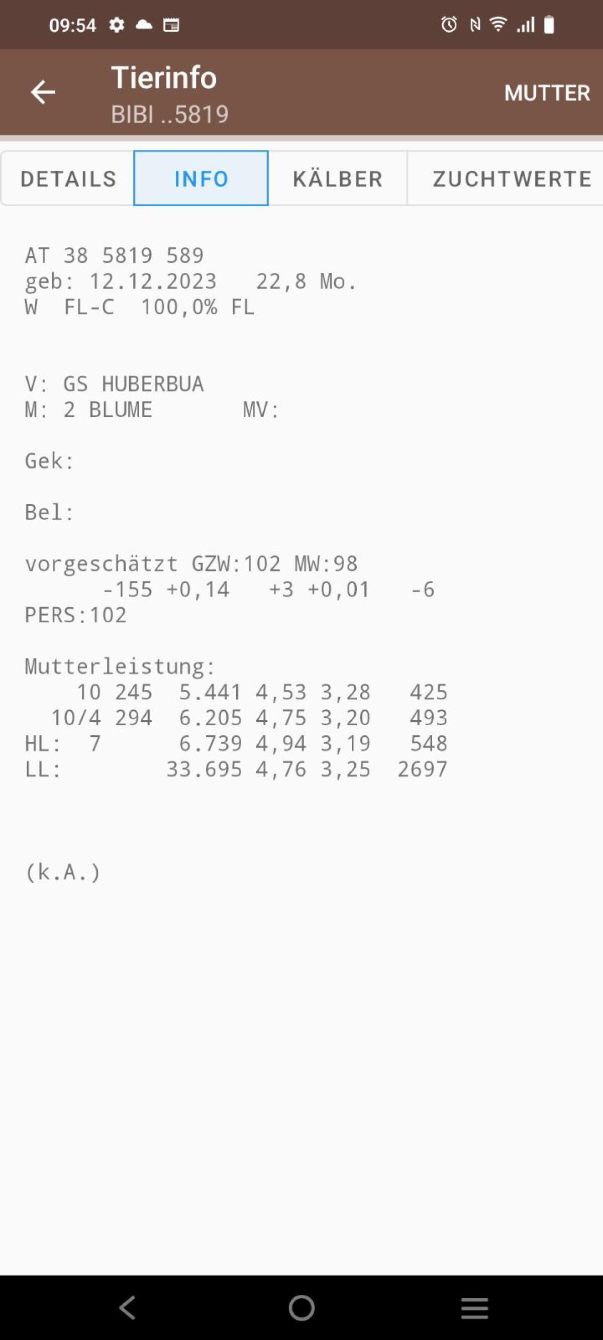 Verkaufe BIO Zuchtkalbin 1