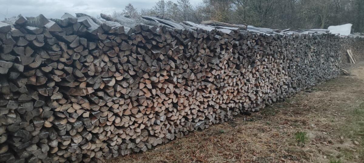 Brennholz aus dem Leithagebirge zu verkaufen 1