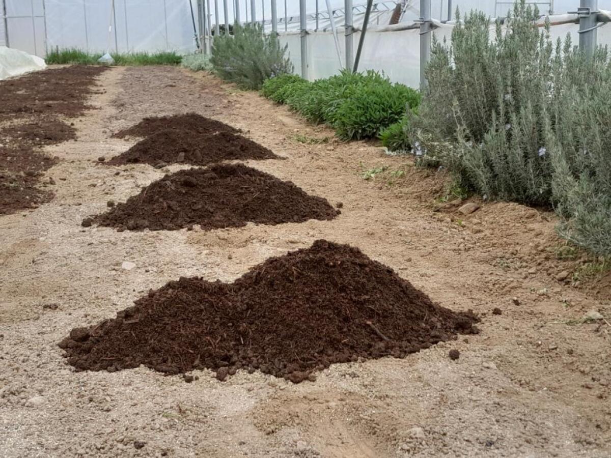 Mitarbeit am Biohof 2