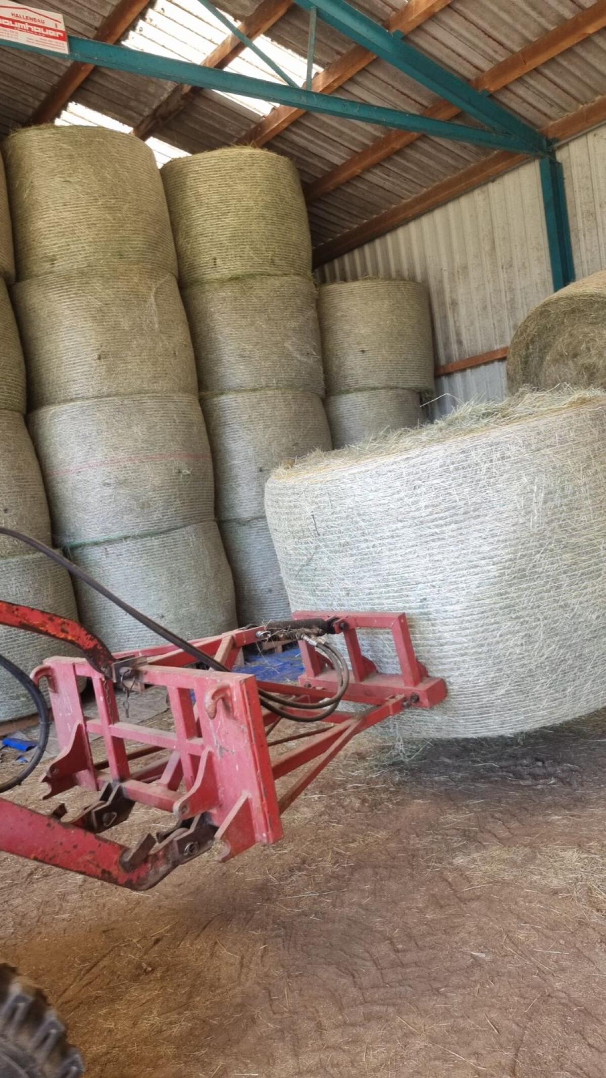 Kleeheu in Rundballen 2