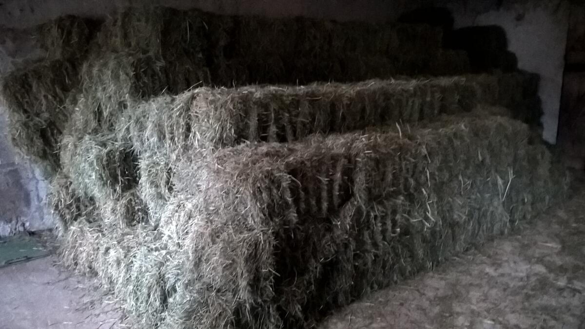Heu in Kleinballen 3