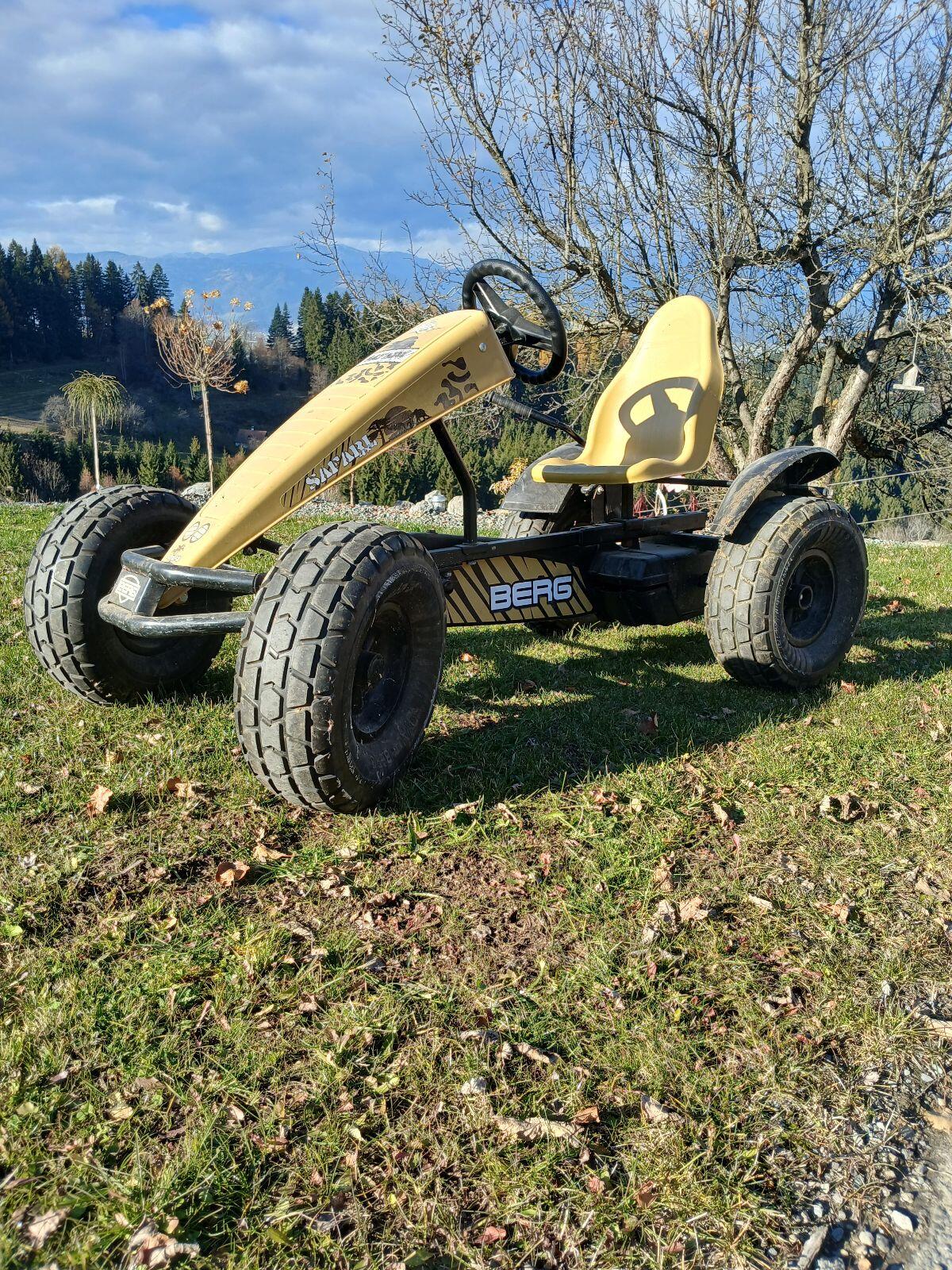 Verkaufe Berg Gokart 1