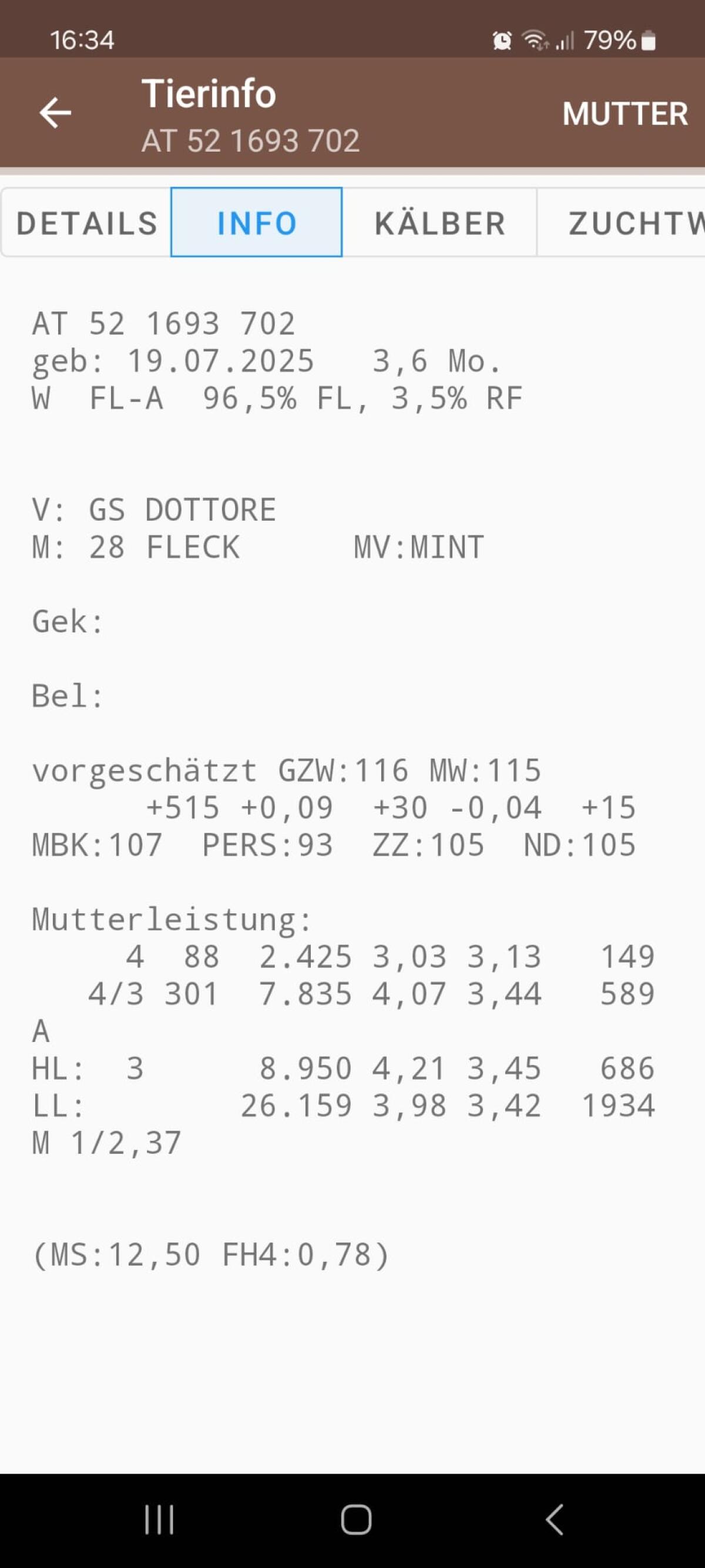 Fleckvieh Kälber weiblich, enthornt, entwöhnt 3