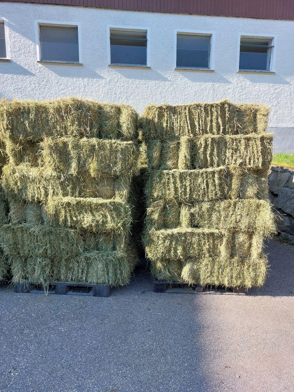 Verkaufe Rund- und Kleinballen mit Warmluft belüftet 2