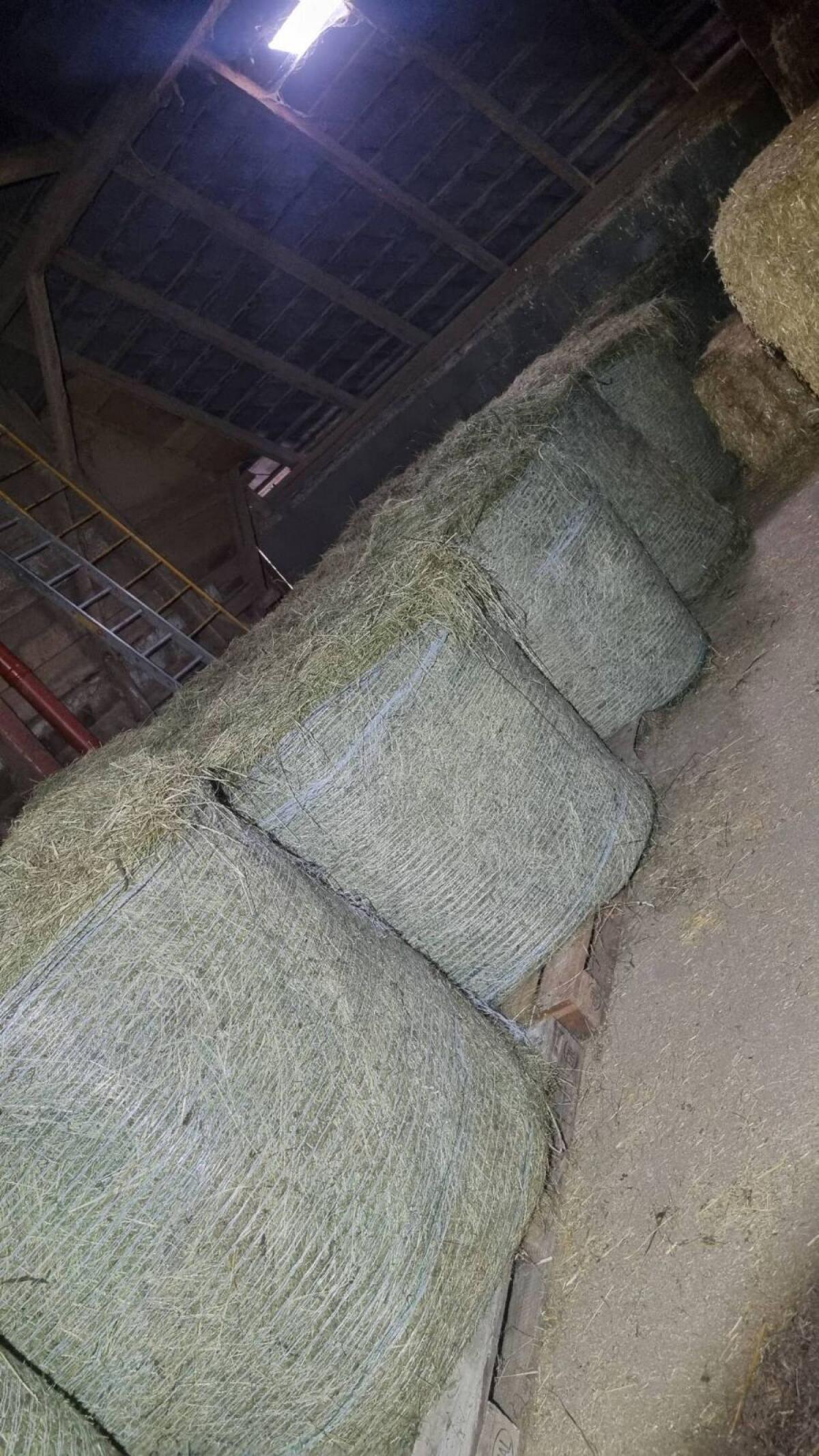 Bio Heu 2. Schnitt 2025 1