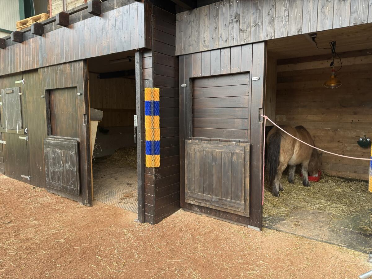 Pensions- & Rehaplätze im Freilaufstall zu vergeben 2