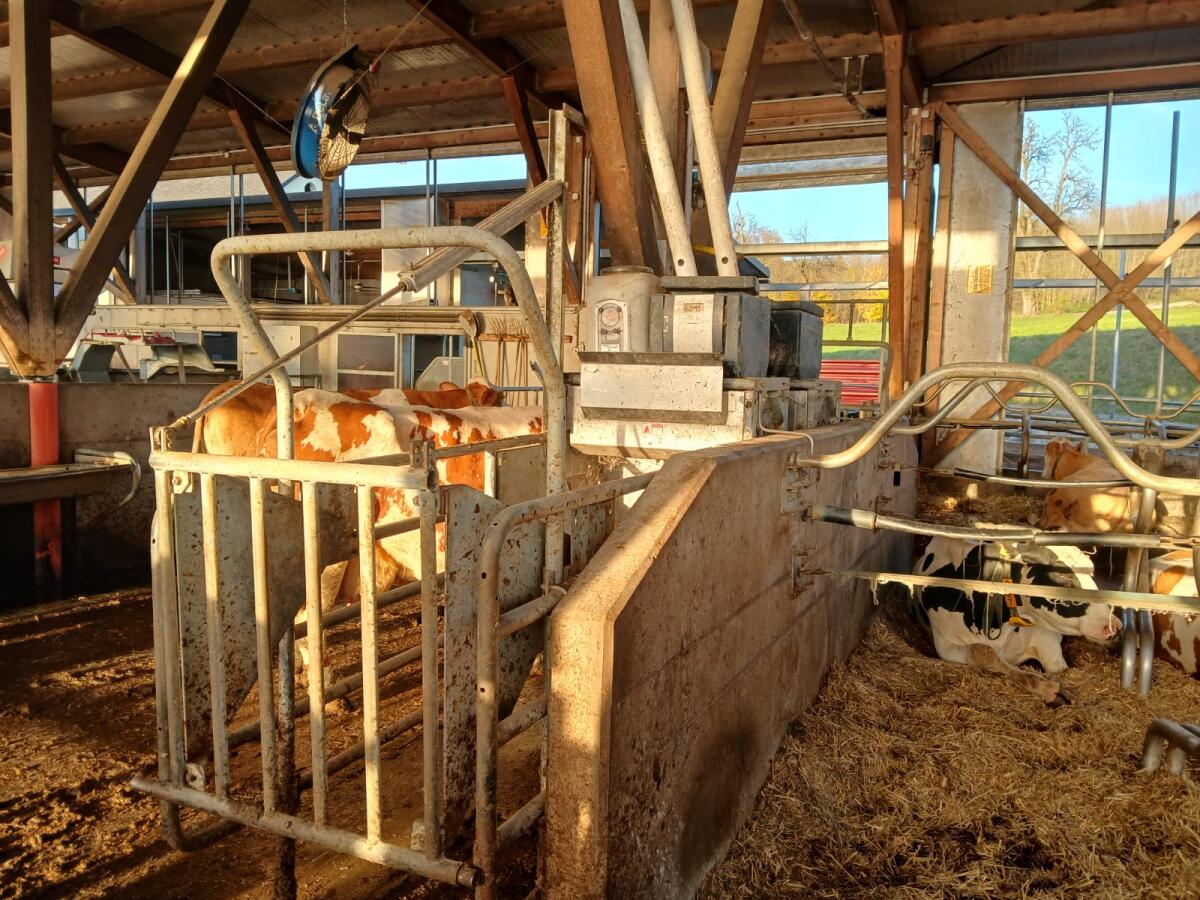 2 Kraftfutterstationen zu verkaufen 2