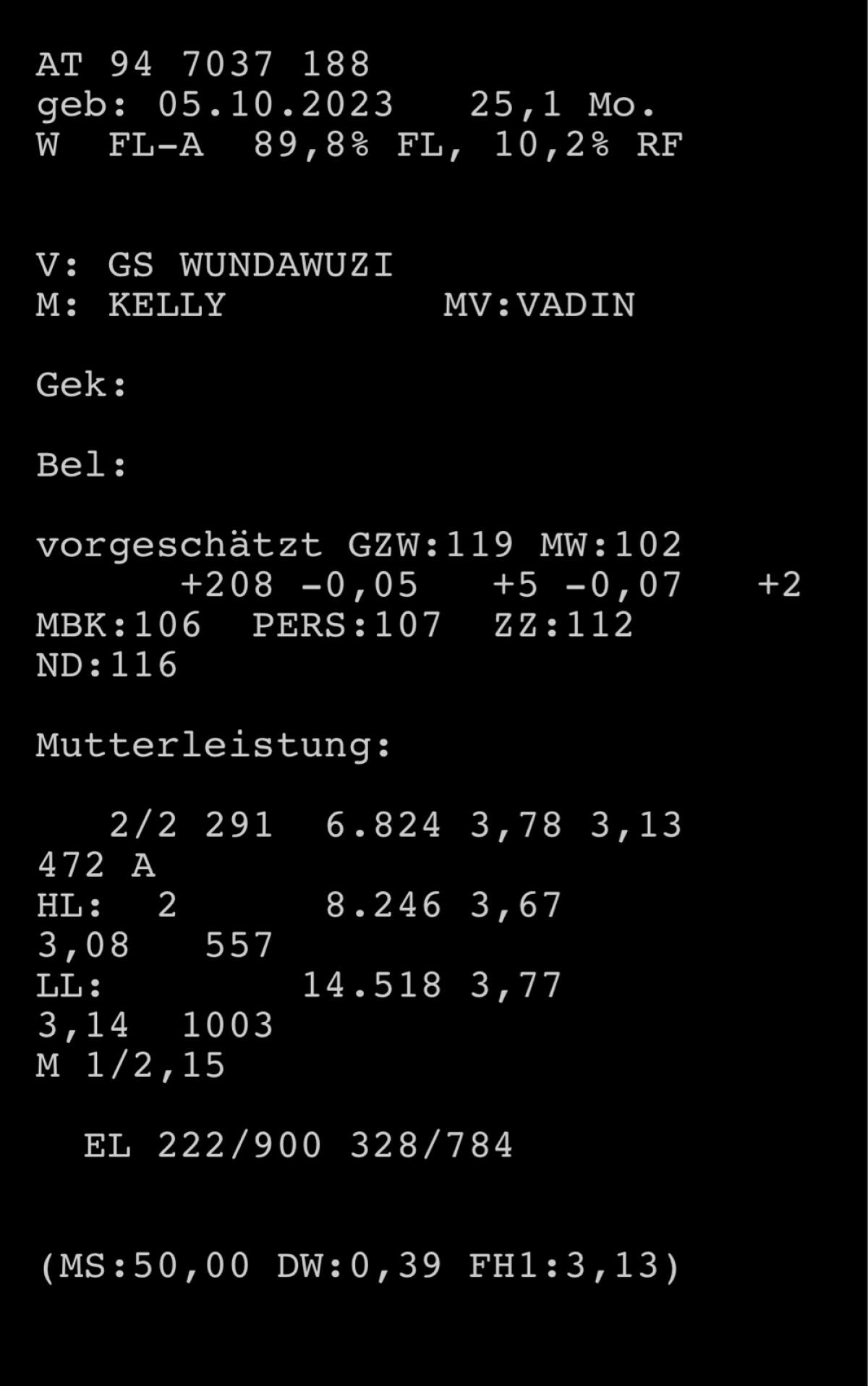 Fleckvieh Kalbin mit Horn 3