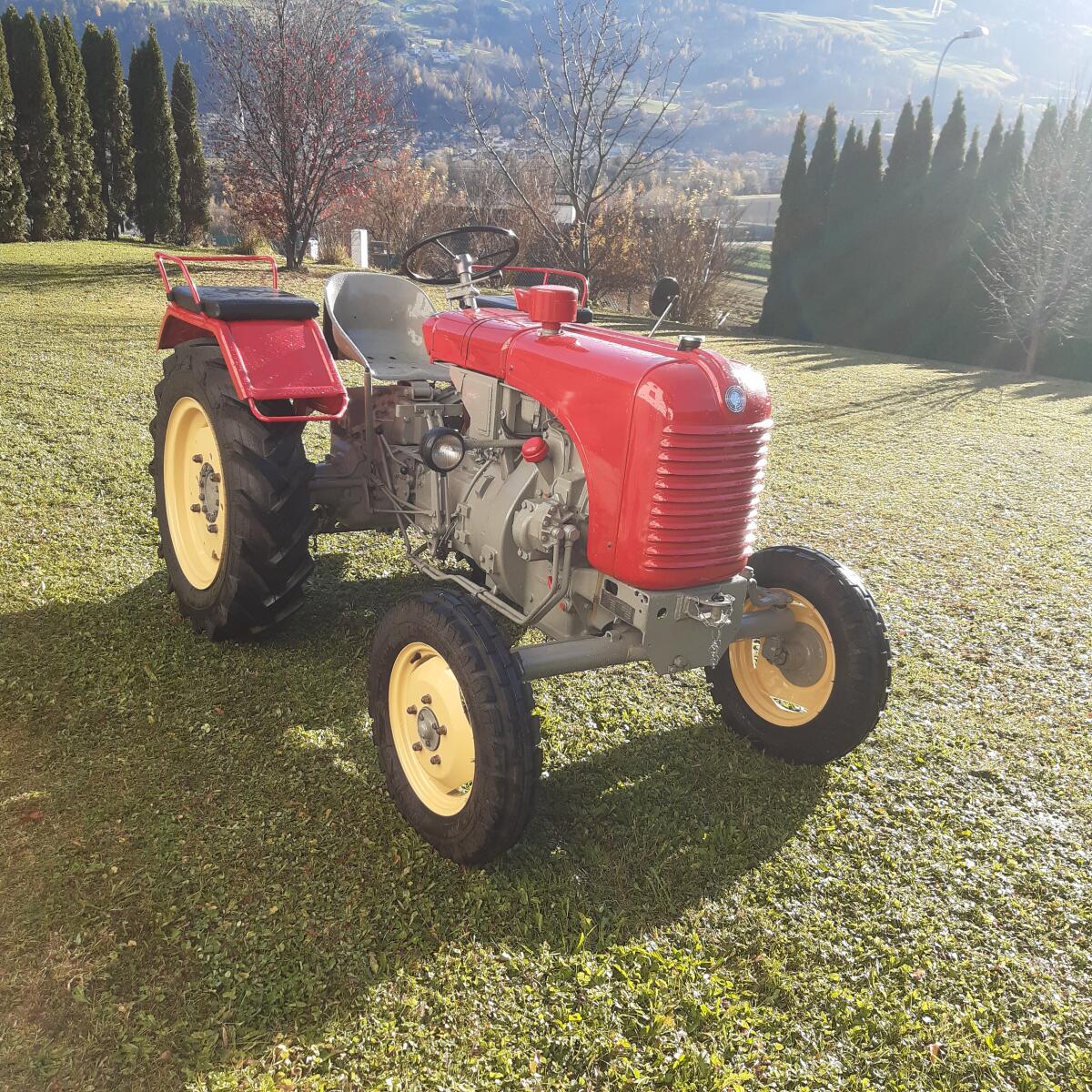 Verkaufe generalüberholten Steyr T 84 mit Wendegetriebe 1