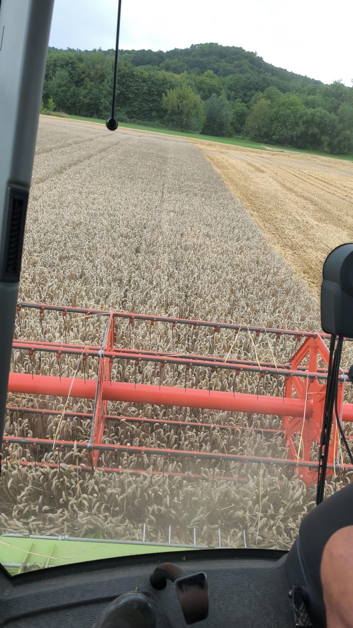 Suche Pachtflächen 2