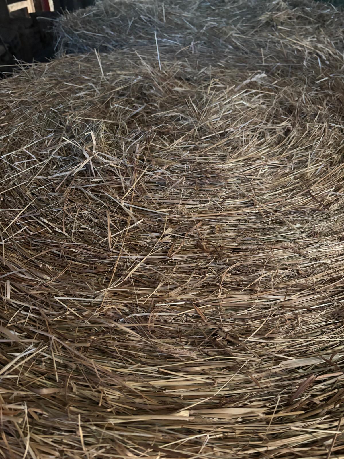 Heuballen zu verkaufen 2