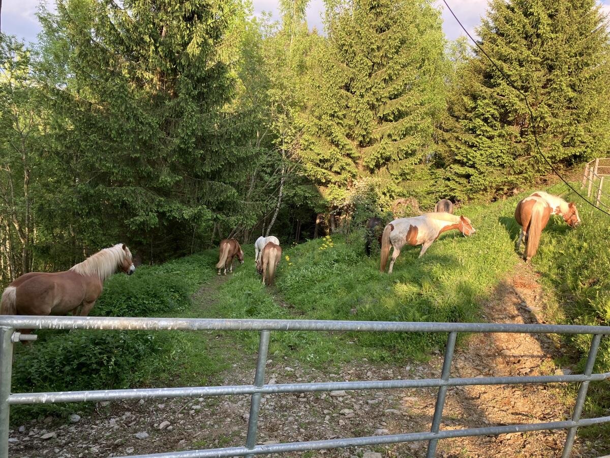 Einstellplatz und Wohnung 2