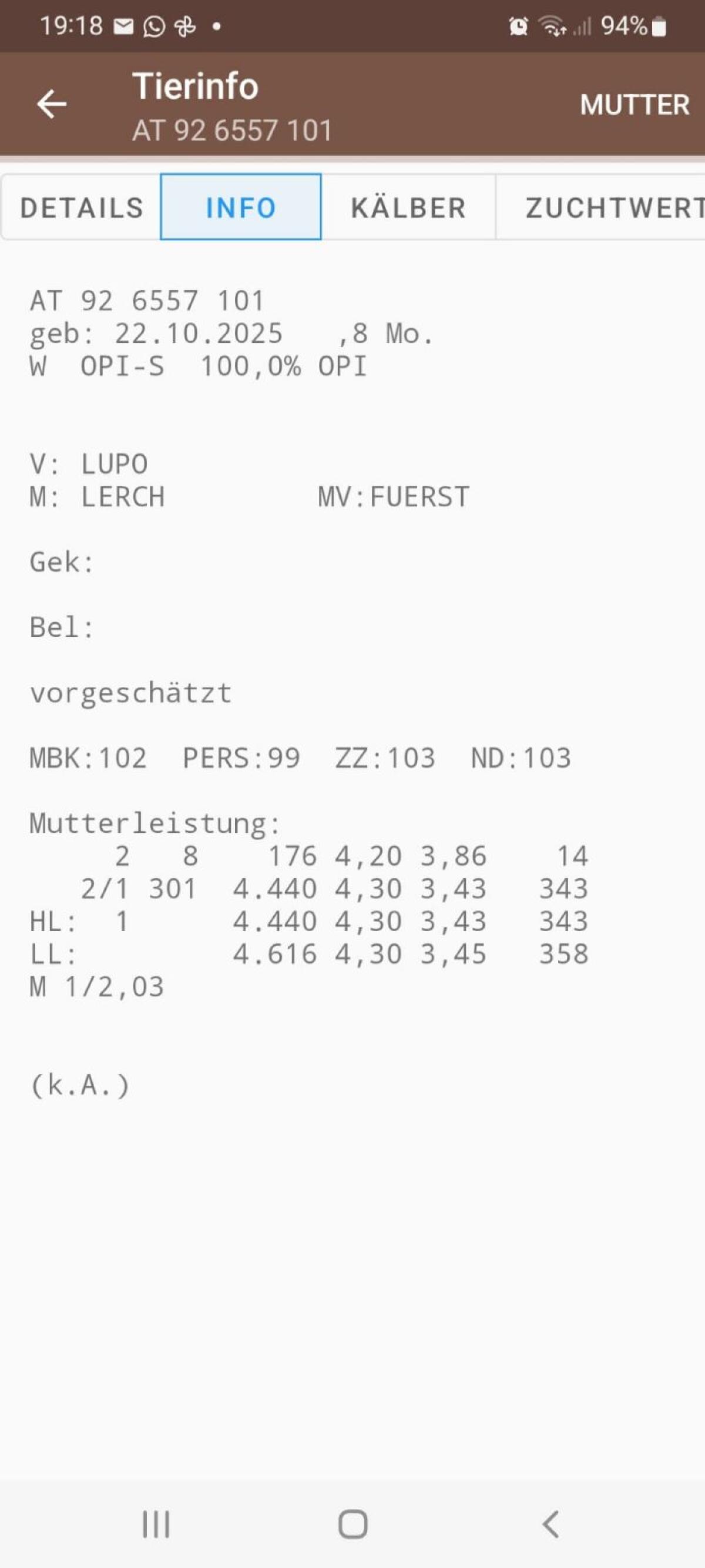 Pinzgauer Bio Zuchtkalb 2