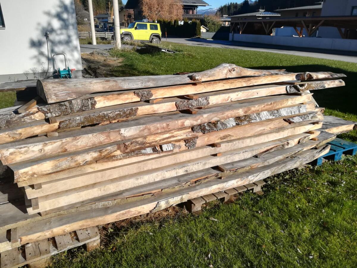 Weißbirkenpfosten 2