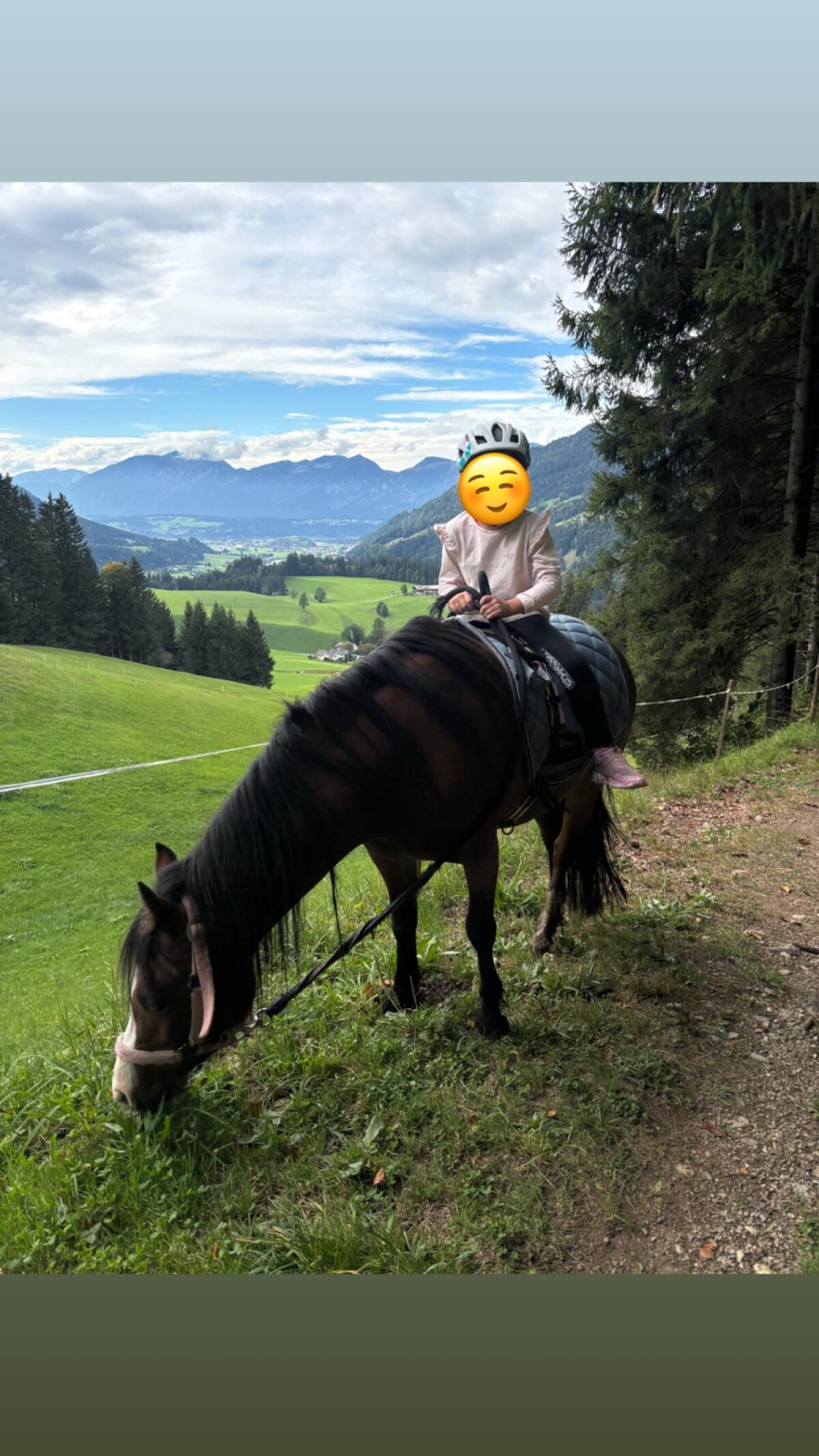 Verkaufe liebes Welsh A Pony 1