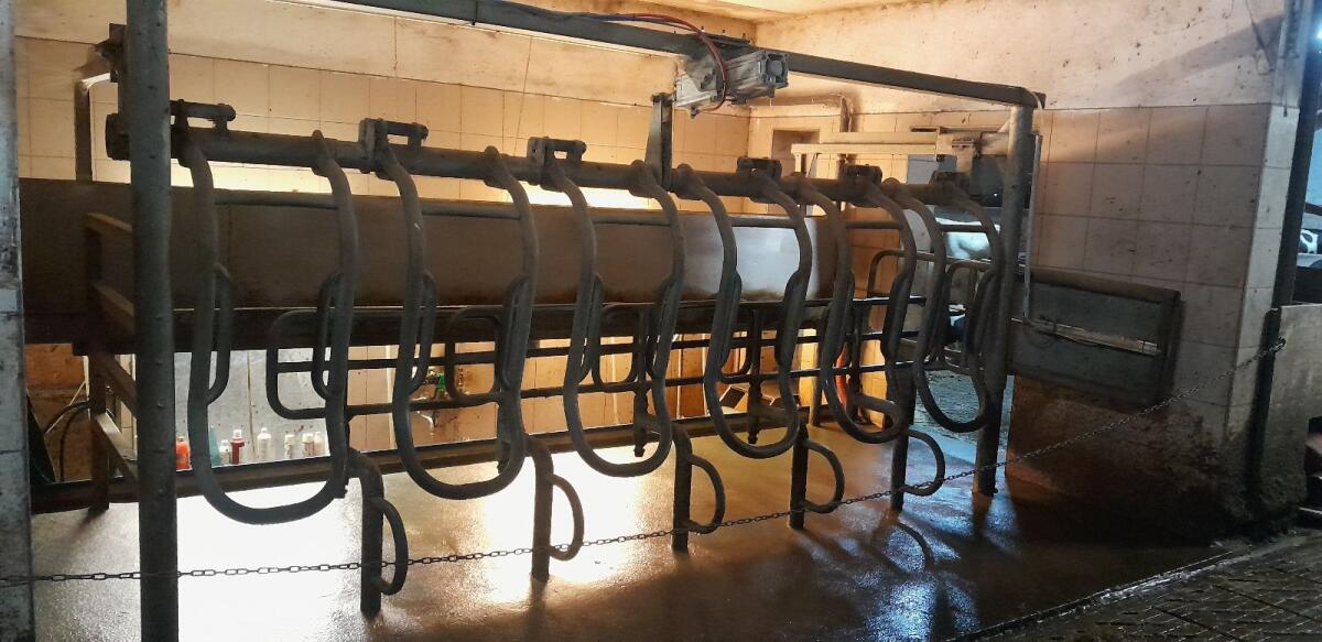 Melkstand LemmerFullwood Arizona Megaline 2