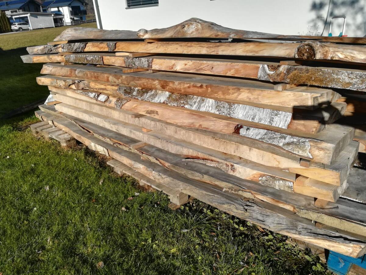 Weißbirkenpfosten 3