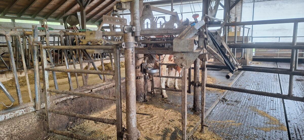 Speedfix Klauenstand 3