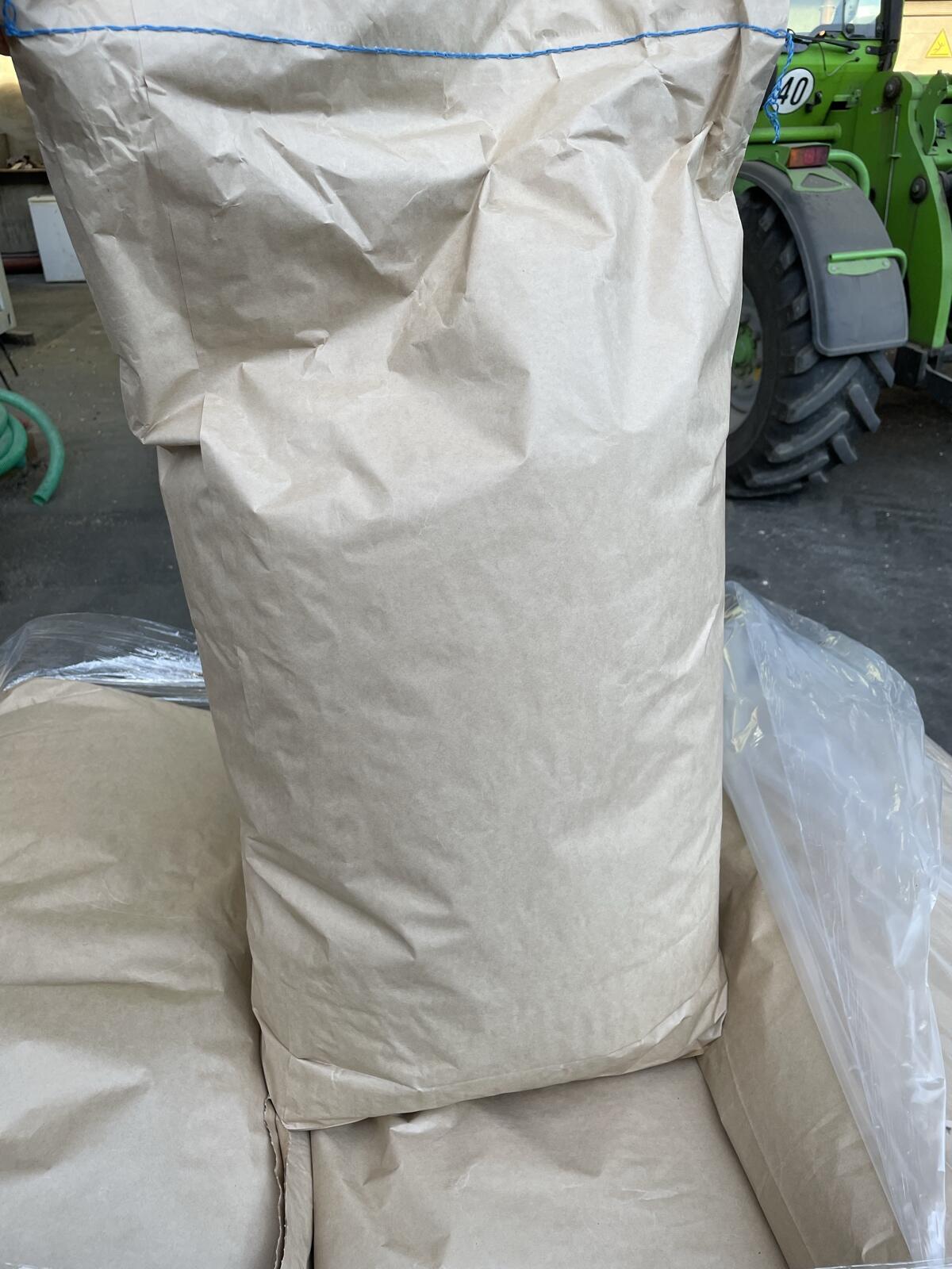 ggA Kürbiskerne Sorte Rustical 2