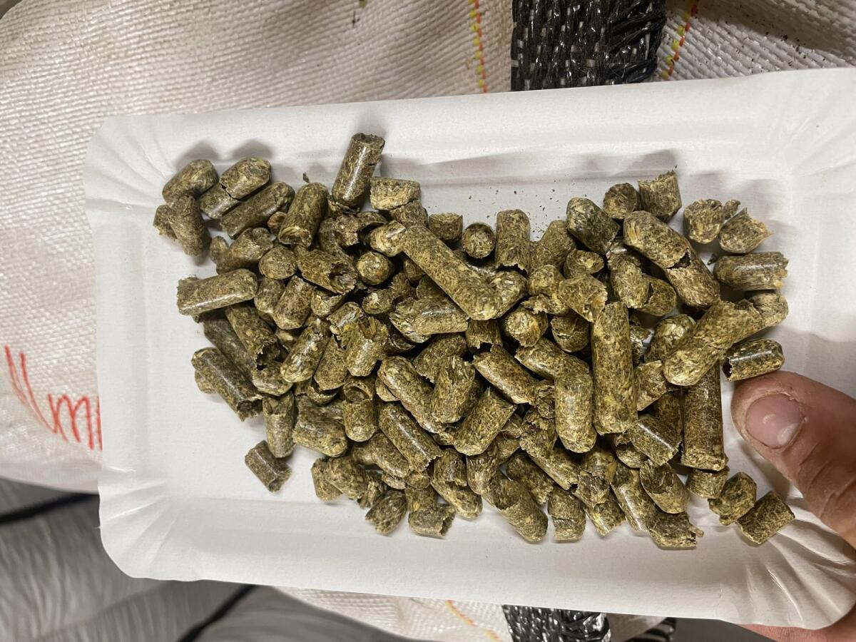 Heu-Luzerne-Pellets 3