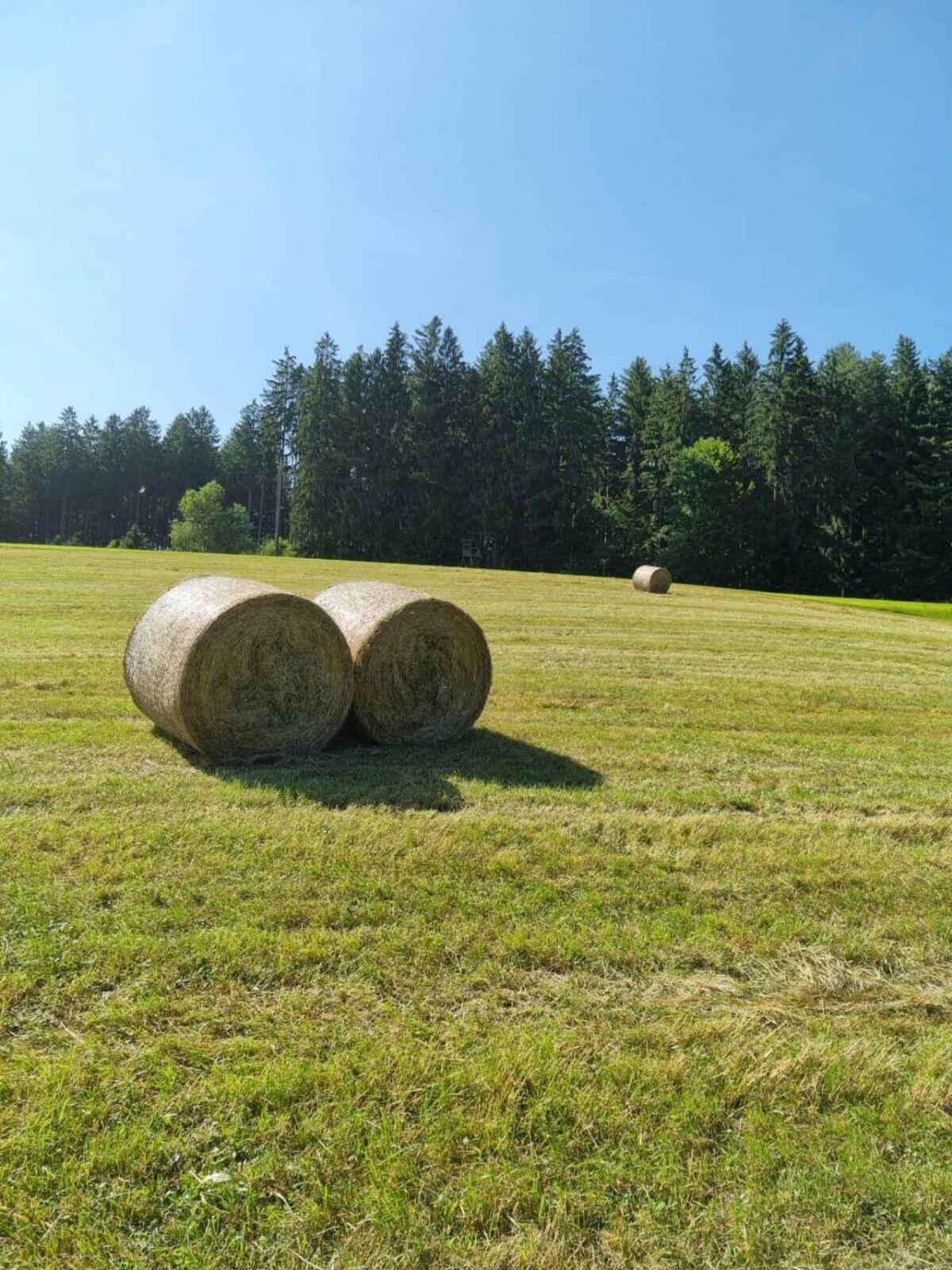 Heuballen 1