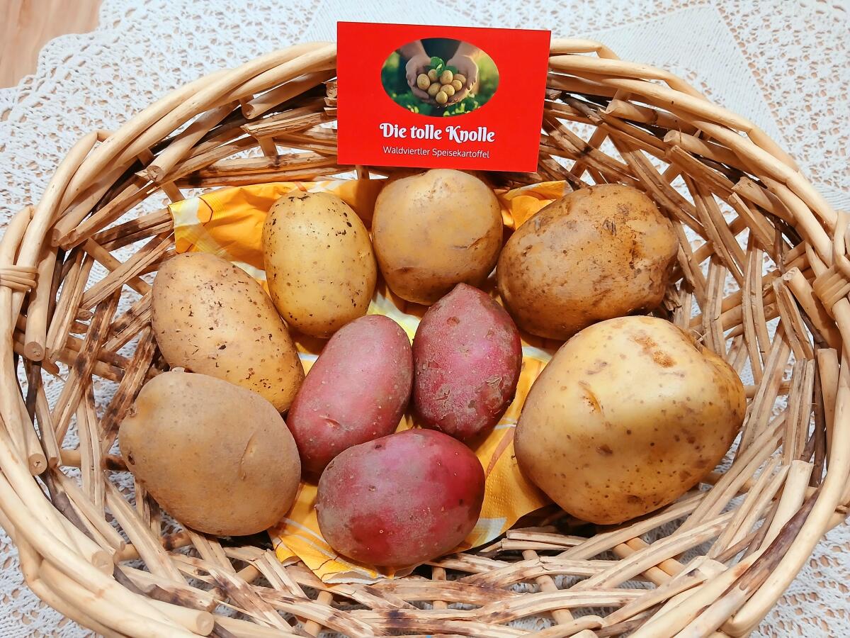 Waldviertler Speisekartoffeln 1
