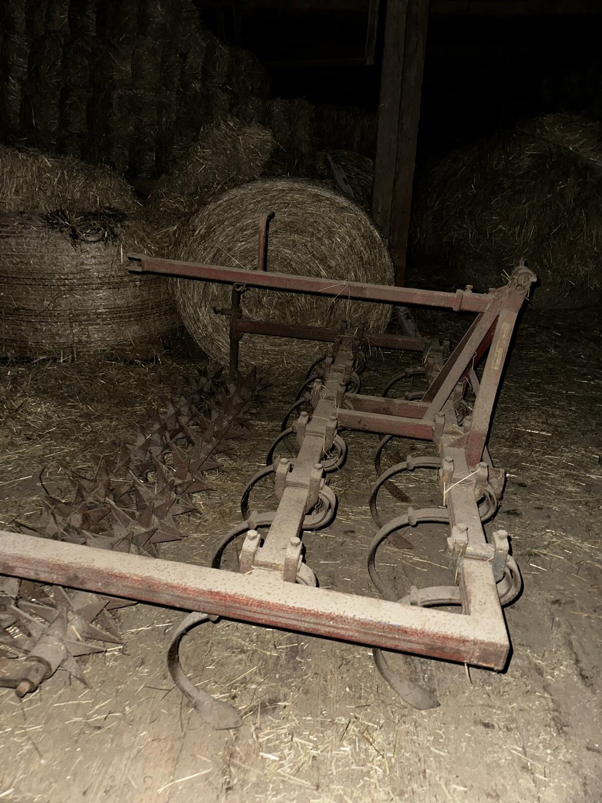 Hatzenbichler Federzinken, Sternwalze - Originalzustand 2