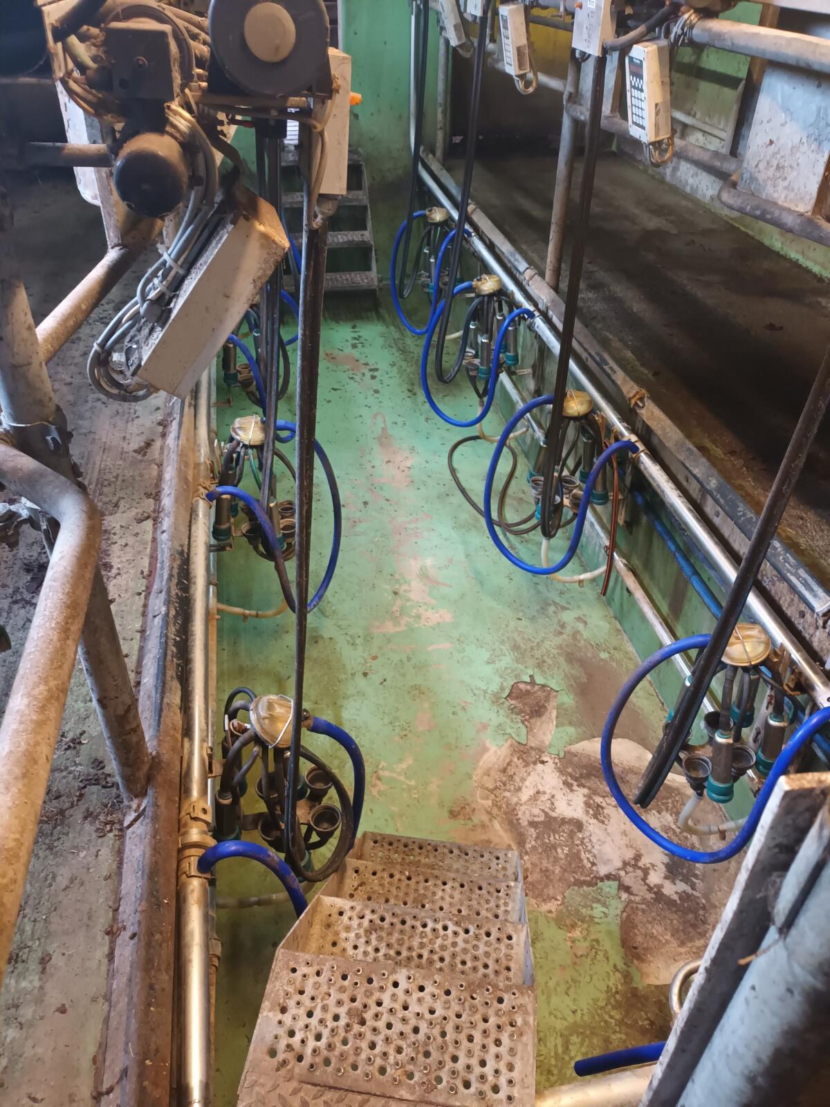 8er Melkstand mit Waschautomat und Pumpe zu verkaufen 2